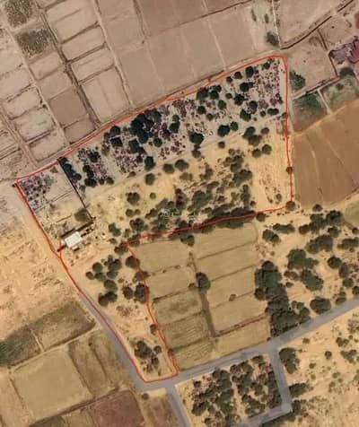 مزرعة  للبيع في ام القضب 1 - مزرعة للبيع في أم القضب