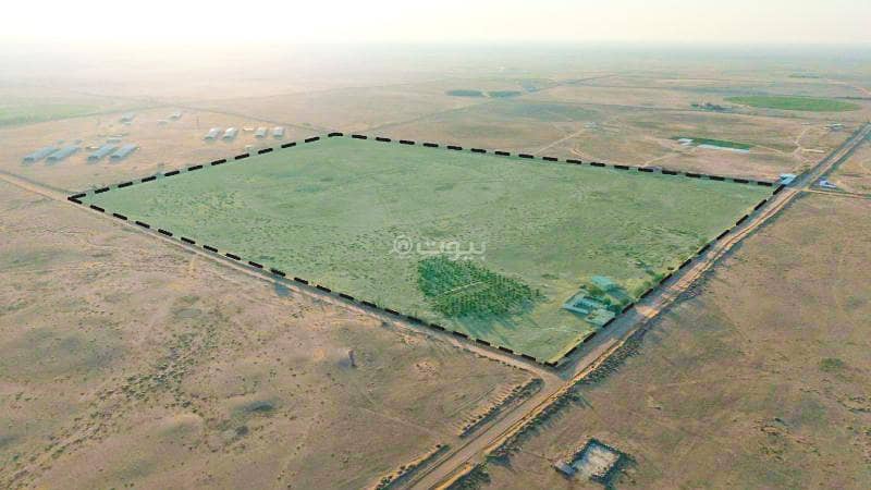 Farm for sale