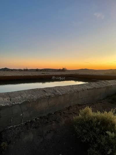 ارض سكنية  للبيع في الفوارة - عقار للبيع