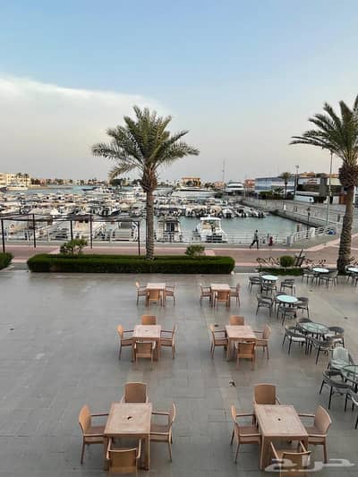 2 Bedroom Apartment for Rent in Jeddah - Studio Apartment For Rent in Jeddah