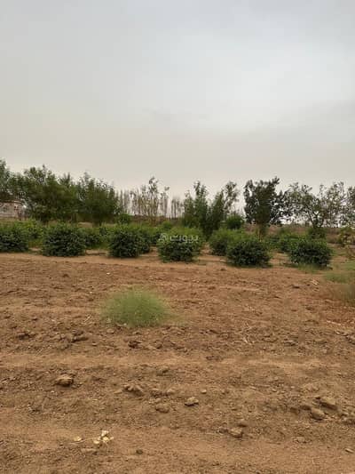 Residential Land for Sale in Ath Thuraiya 1, Jazan - Residential Land in Ath Thuraiya 1 12039300 SAR - 87812573