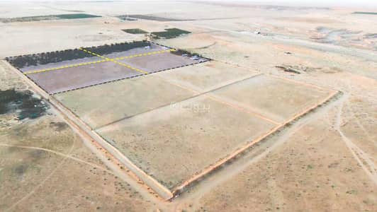 مزرعة  للبيع في مزارع البطين، البطين - مزرعة للبيع في مزارع البطن