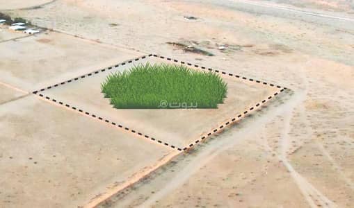 مزرعة  للبيع في مزارع البطين، البطين - مزرعة للبيع في مزارع البطين