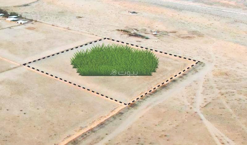 مزرعة للبيع في مزارع البطين مزرعة للبيع في مزارع البطين