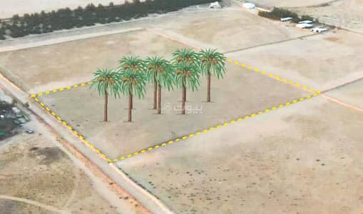 مزرعة  للبيع في مزارع البطين، البطين - مزرعة للبيع في مزارع البطين