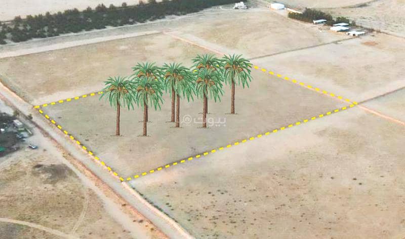 مزرعة للبيع في مزارع البطين مزرعة للبيع في مزارع البطين