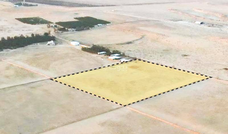 مزرعة للبيع في مزارع البطن مزرعة للبيع في مزارع البطن