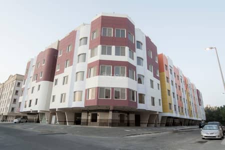 3 Bedroom Residential Building for Rent in Al Rajihi Scheme, Tabuk - Residential Building For Rent in Al Rajihi Scheme, Tabuk