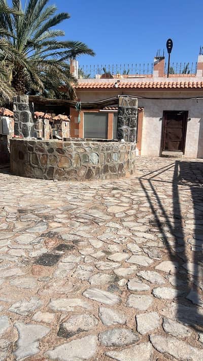 مزرعة 3 غرف نوم للايجار في المندسة، المدينة المنورة - مزوعة لليجار