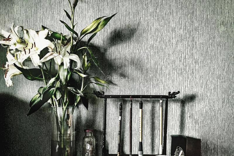 شقة من 3 غرف نوم للايجار اليومي شقة من 3 غرف نوم للايجار اليومي