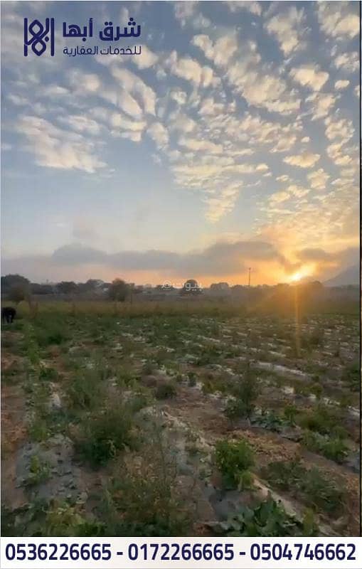 ارض زراعية بها بيت للبيع - حي النسيم - تنومه