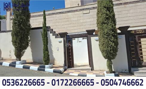 شقة 5 غرف نوم للايجار في حي الصفا، أبها - شقة للإيجار - حي الصفا - ابها