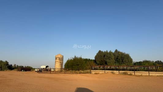 مزرعة 1 غرفة نوم للبيع في رديفه الاجفر - مزرعة للبيع في رديفة الأجفر، حائل