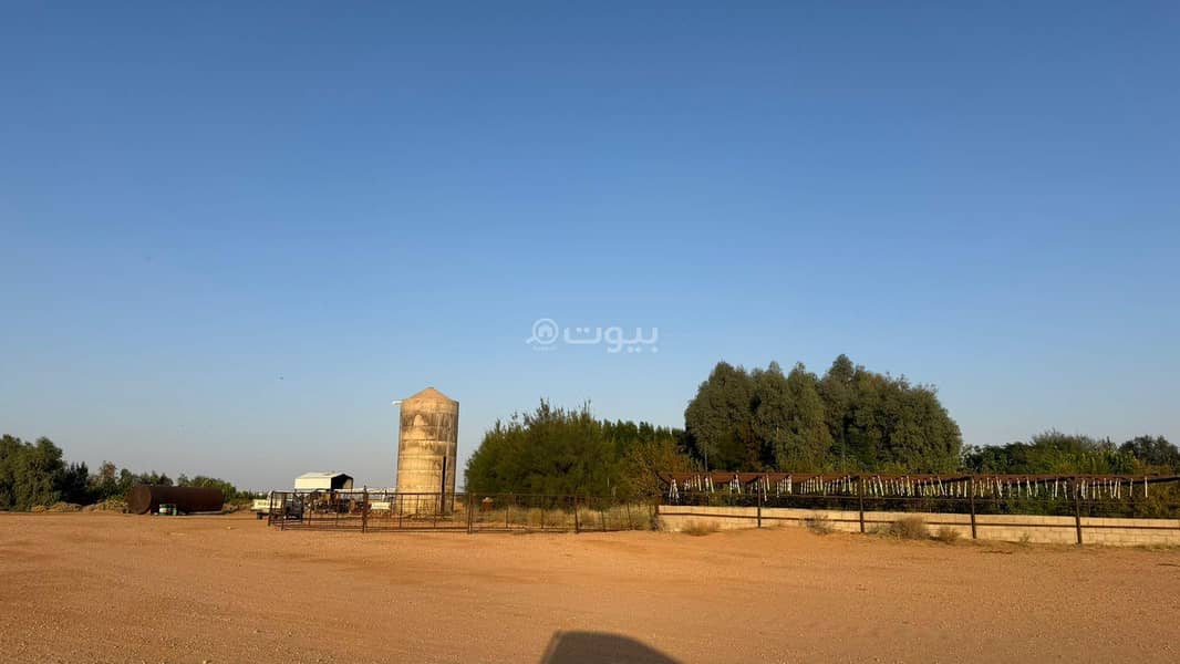 مزرعة للبيع في رديفة الأجفر، حائل مزرعة للبيع في رديفة الأجفر، حائل