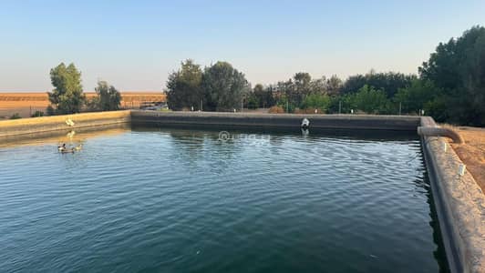 مزرعة 1 غرفة نوم للبيع في رديفه الاجفر - مزرعة للبيع في رديفة الاجفر، حائل