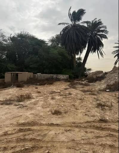 مزرعة  للبيع في الحناه المنطقة الشرقية - للبيع مزرعه بمركز الحناه على الشارع العام صك الإلكتروني حر كهرباء ماء قريبه من الخدمات