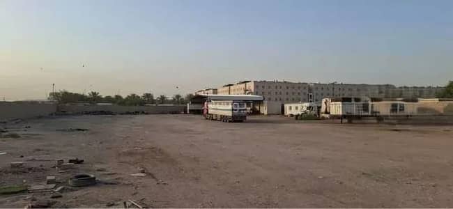 ارض سكنية  للبيع في جنوب الرياض، الرياض - أرض للبيع في شارع علي المالكي, حي المصفاة, مدينة الرياض, منطقة الرياض