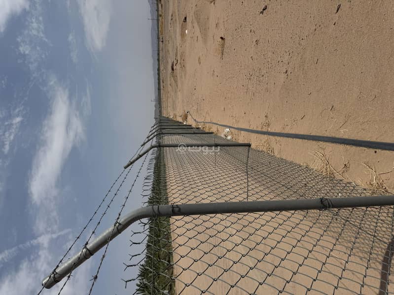 مزرعة للإيجار في المندسة، المدينة المنورة