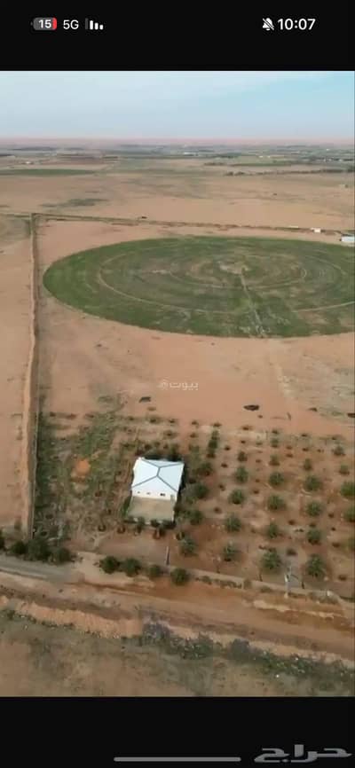 مزرعة 2 غرفة نوم للبيع في مزارع حمادة مليح الشماليه، مليح - مزرعة للبيع في مزارع ملح الشمالية