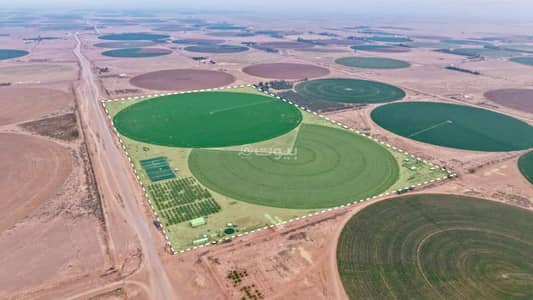 مزرعة  للبيع في السحل، حائل - مزرعة للبيع في حائل