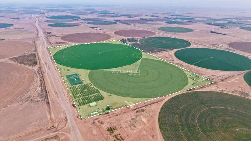 مزرعة للبيع في حائل