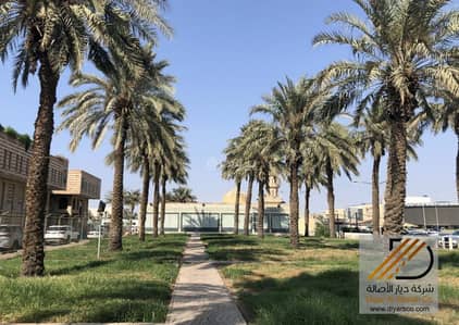 Office for Sale in North Jeddah, Jeddah - Office for sale in Bayootat Al Aamal, Al Shate, Jeddah