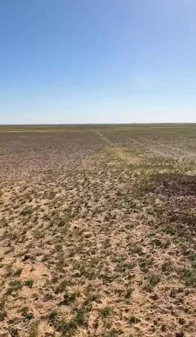 مزرعة  للبيع في الخوير منطقة حائل - مزرعة للبيع في شارع شارع 50 مت, حي الخوير, مدينة الخوير, منطقة حائل