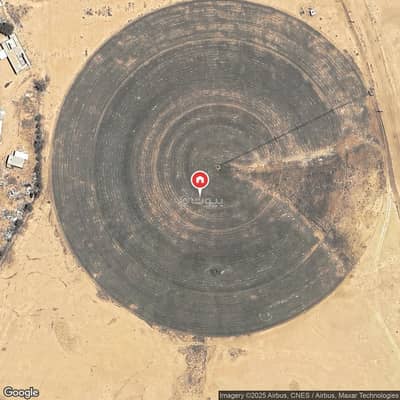 مزرعة  للبيع في مزارع حمادة مليح الشماليه، مليح - مزرعة للبيع في مزارع مالح الشمالية