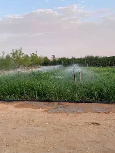 مزرعة  للبيع في السيباني - مزرعة للبيع في حي مركز السيباني (أ), مدينة السيباني, منطقة الرياض
