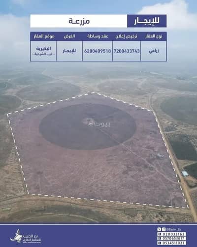 2 Bedroom Farm for Rent in Ar Rabwah, Al Bukayriyah - Farm For Rent in Ar Rabwah, Al Bukayriyah