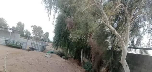 مزرعة 5 غرف نوم للبيع في مزارع الخفق، القويعية - مزرعة للبيع في مزارع القويعية