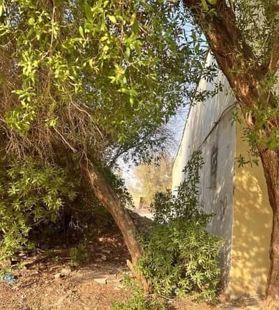 استراحة 4 غرف نوم للبيع في جنوب الرياض، الرياض - بيت استراحة للبيع في المساني، الرياض استراحة 4 غرف نوم للبيع في جنوب الرياض، الرياض - بيت استراحة للبيع في المساني، الرياض