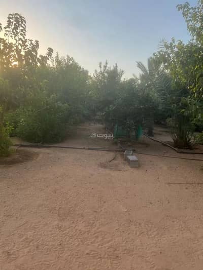 5 Bedroom Farm for Sale in Al Lusayb Buraydah, Buraydah Al Qassim Region - Farm For Sale in Al Lusayb Buraydah, Al Qassim Region