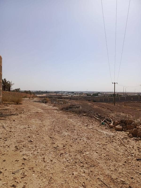 Land for rent on Abu Ubaidah Al-Nabulsi Street, Al-Qatar Neighborhood, Al-Kharj City, Riyadh Region. Land for rent on Abu Ubaidah Al-Nabulsi Street, Al-Qatar Neighborhood, Al-Kharj City, Riyadh Region.