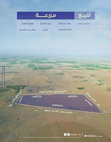 Farm for Sale in Alfwylq Farms, Alfwylq Al Qassim Region - Farm For Sale in Alfwylq, Al Qassim Region