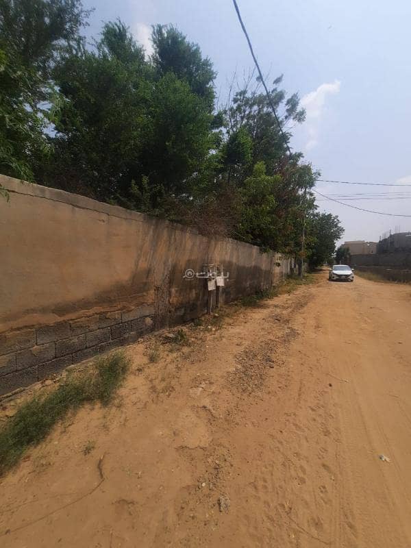 مزرعة للايجار في ابو السلع محافظة صبيا منطقة جازان