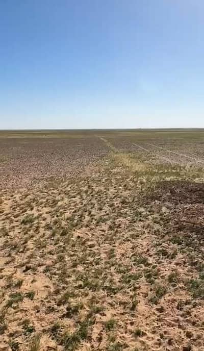 Farm for Sale in Alkhawayr Hail Region - Poultry Land Hail Region