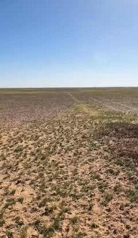 Poultry Land Hail Region Poultry Land Hail Region