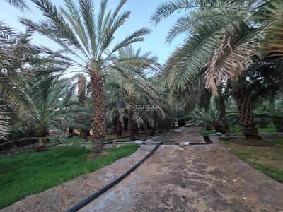 Farm for Sale in Al Sadiqiyyah, Madina - Farm for sale on Street 000, Al-Sadiqiyah neighborhood, Medina City, Al-Madina Region