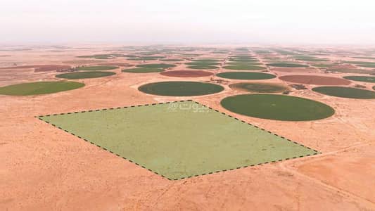 مزرعة  للبيع في مزارع الوبريات، حائل - مزرعة للبيع في حائل الوبريات