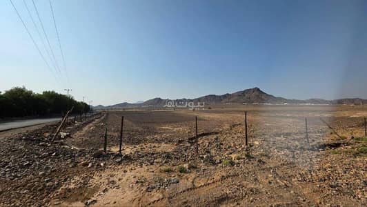 ارض سكنية  للبيع في القبيبة، المدينة المنورة - فرصه والبيع مباشر ارض شمال مطار المدينه