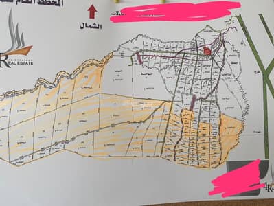 ارض سكنية  للبيع في العمارية منطقة الرياض - أرض زراعية للبيع في العمارية، الرياض