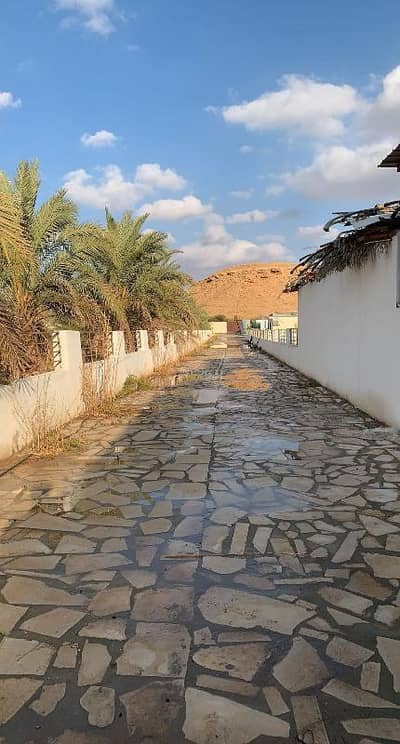 4 Bedroom Farm for Sale in Huraymila - Farm For Sale in Huraymila