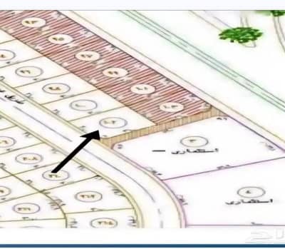 ارض سكنية  للبيع في شمال الجامعة، تبوك - أرض شمال الجامعه