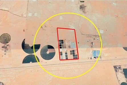 Farm for Sale in Al-Salehiyah 4 - Farm for sale in Al-Kharj, Al-Sahba neighborhood
