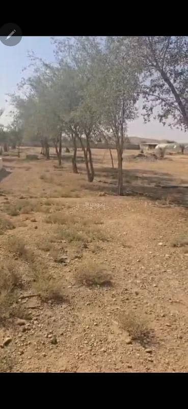 Agriculture Plot for Sale in Al Allawah Farms, Marat Riyadh Region - Agricultural land opportunity for sale in Dhurma
