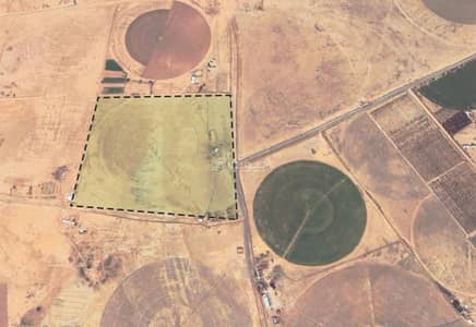 Farm for Sale in South Al Qarnah Farms, Al Qarnah-Al Weheesh - Farm for sale