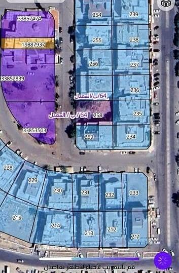 ارض سكنية  للبيع في شمال جدة، جدة - أرض للبيع في النخيل، شمال جدة