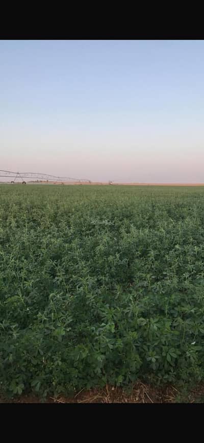 مزرعة 2 غرفة نوم للبيع في مزارع الوبريات، حائل - ارض زراعية