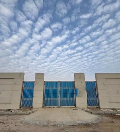 استراحة 5 غرف نوم للايجار في بنبان، الرياض - استراحة للإيجار في شارع أبي جفان, حي بنبان, مدينة الرياض, منطقة الرياض